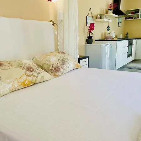 Ocean Eyes 阿普索斯